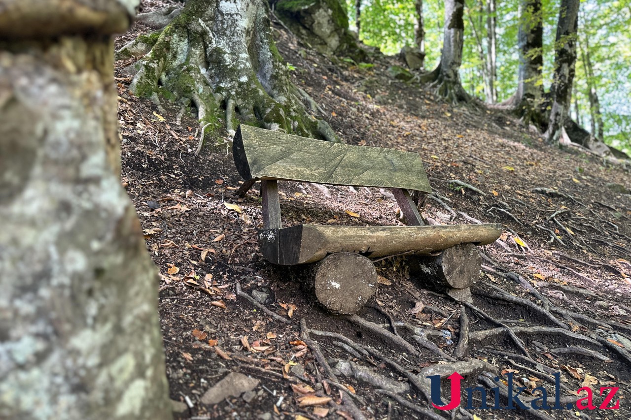 Adı "qara", özü cənnət - FOTOLAR